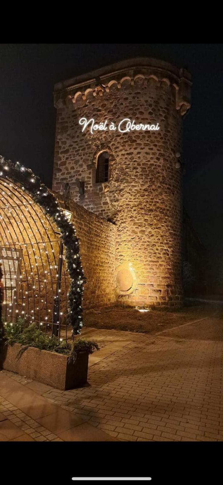 La Colonne Apartment Obernai
